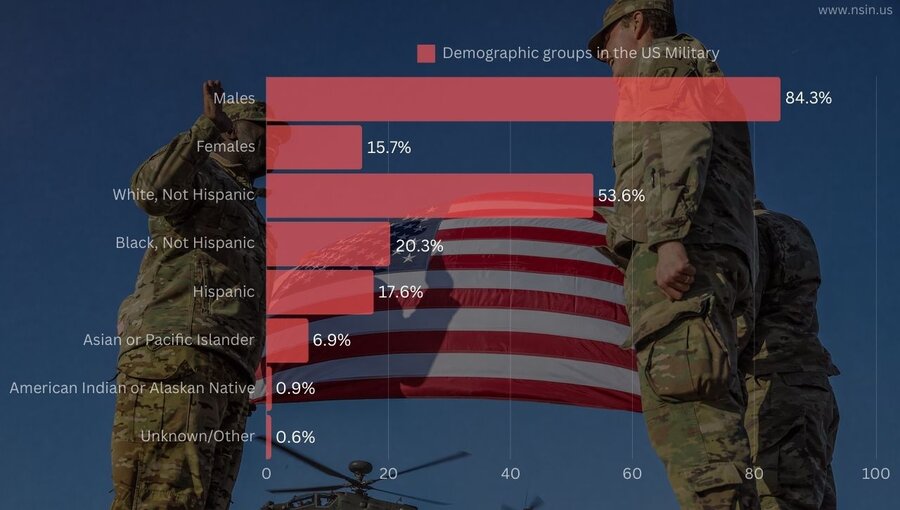 A chart showing US Military demographics