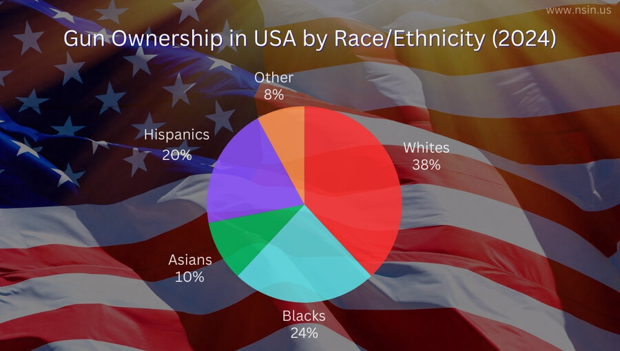 Pie Chart showing gun ownership in the United States 2024