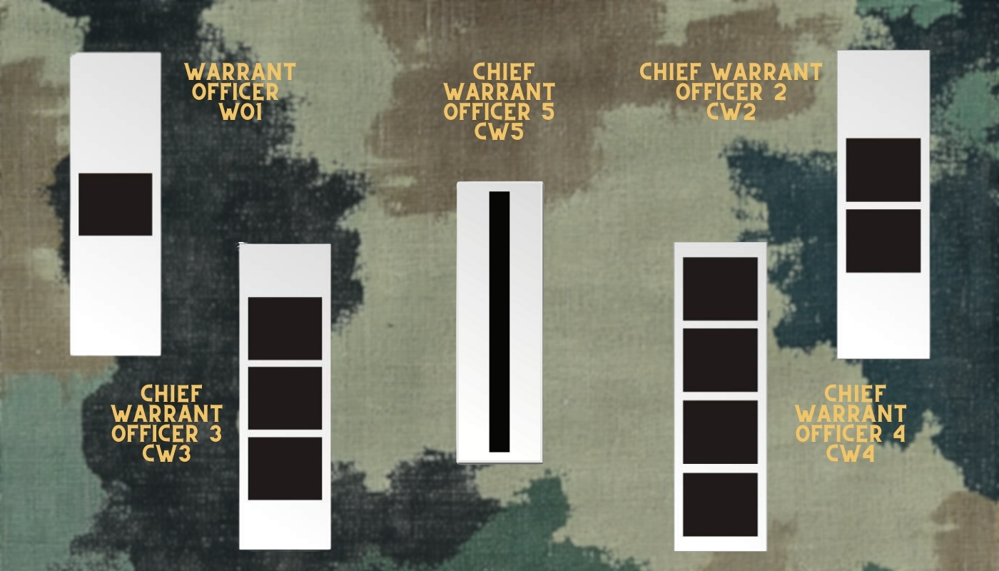 Chart displaying U.S. Army enlisted ranks from Private (E-2) to Sergeant Major of the Army (E-9) with rank insignias