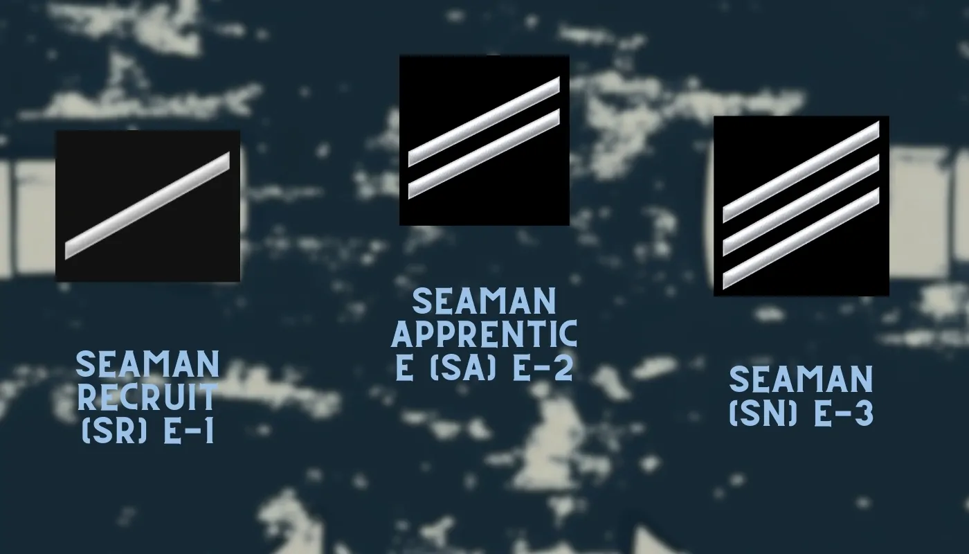 Illustration of US Navy Seaman ranks, showing insignias for Seaman Recruit (E-1), Seaman Apprentice (E-2), and Seaman (E-3)